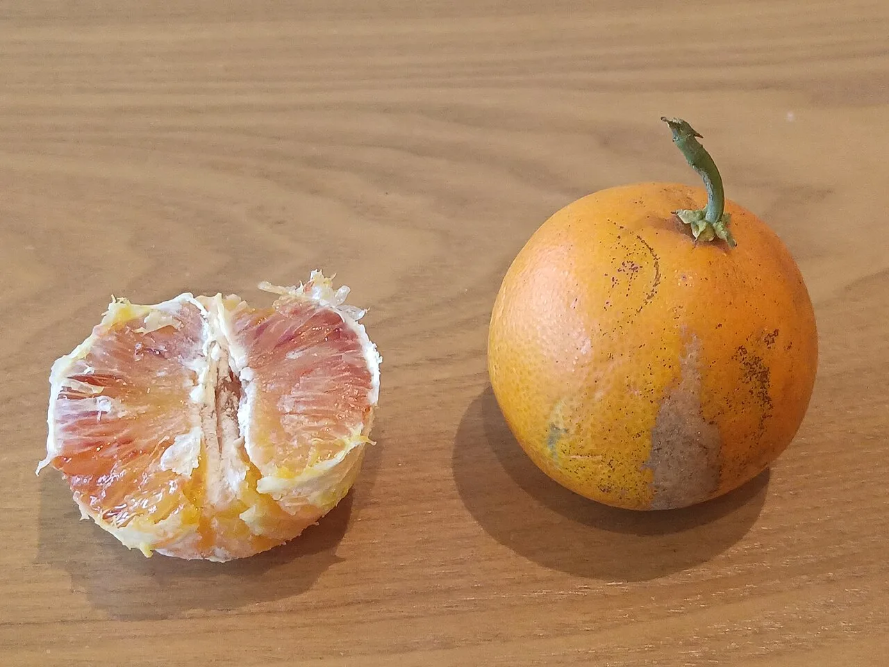 Extrato de laranja Moro: o que se sabe sobre o suplemento Morosil