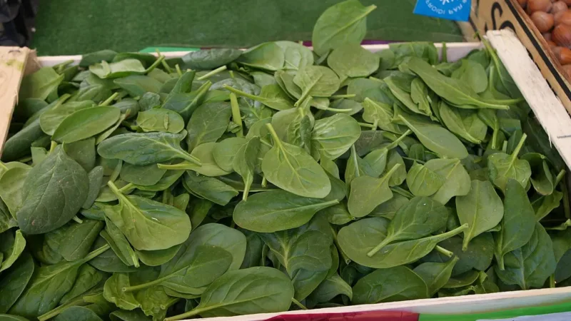 Falta de nutrientes pode agravar a ansiedade? Veja o que as pesquisas indicam