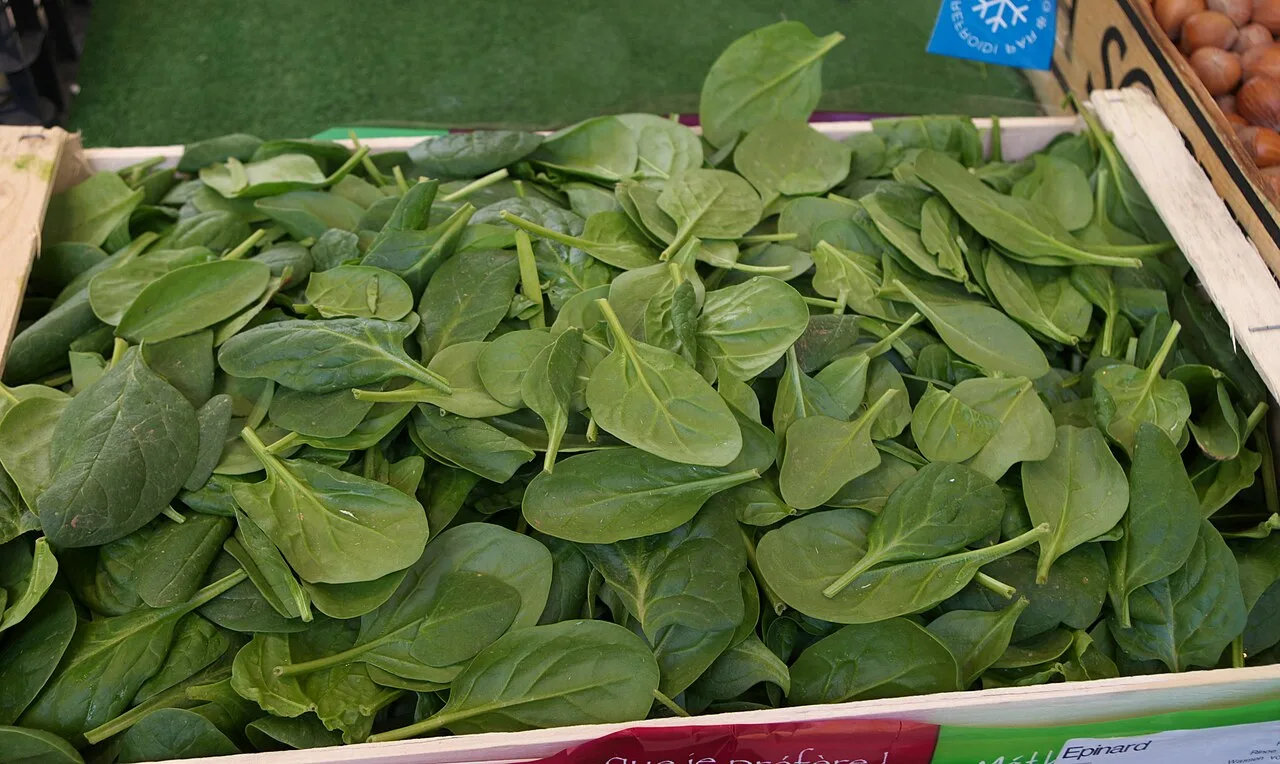 Falta de nutrientes pode agravar a ansiedade? Veja o que as pesquisas indicam