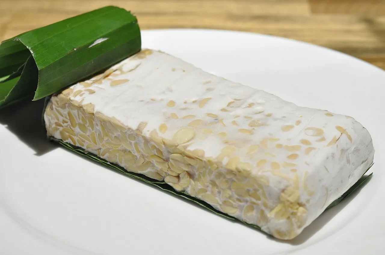 Fermentação dá novo fôlego às proteínas vegetais e ganha as prateleiras no Brasil