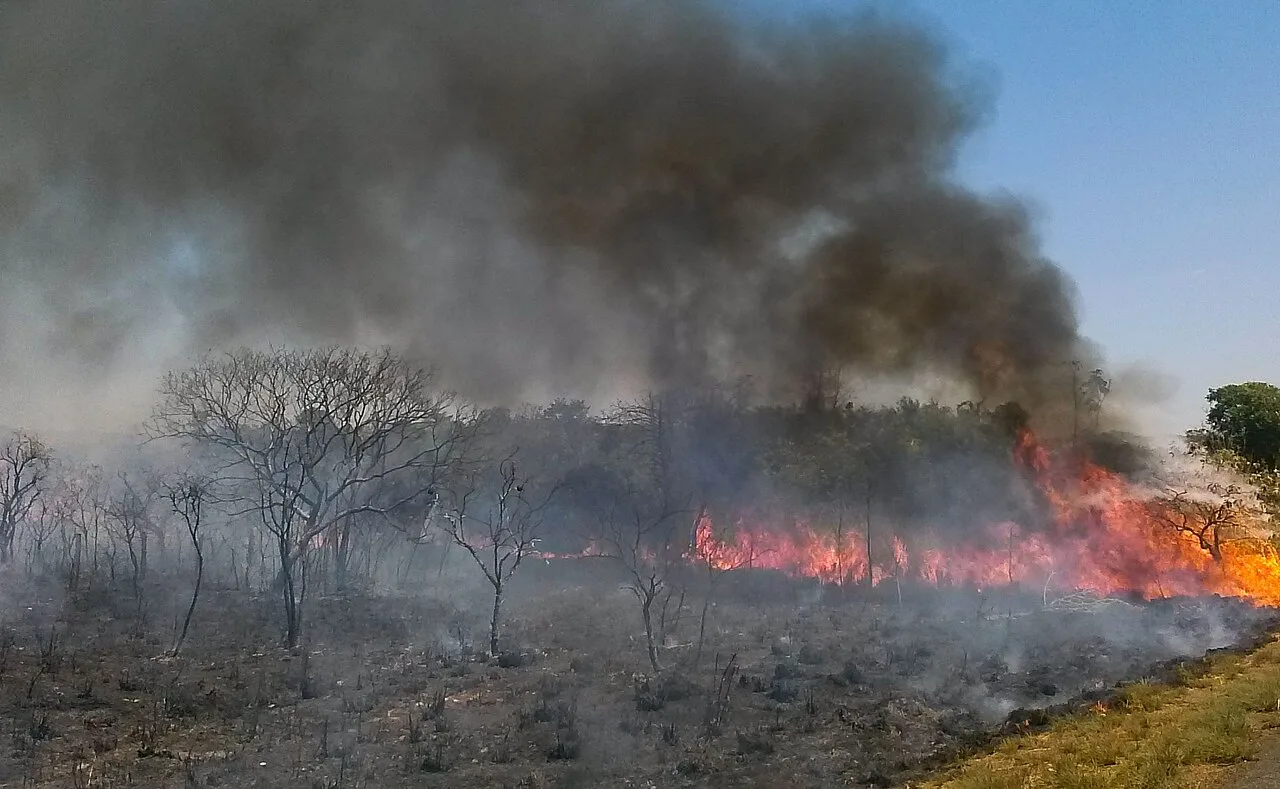 Fumaça das queimadas no DF: quem corre mais risco e como se proteger