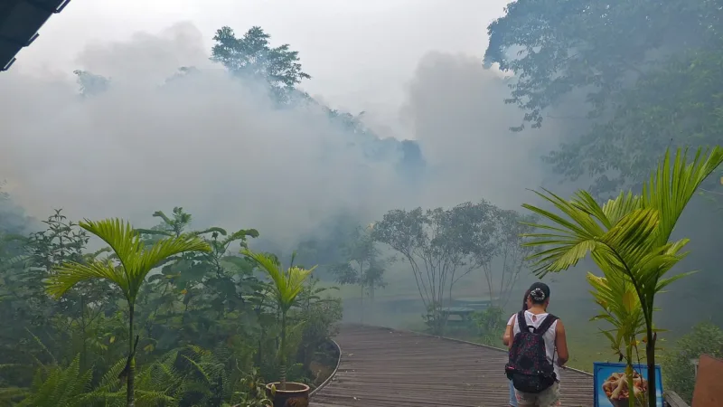 Geolocalização e análise de dados passam a orientar o combate à dengue no DF