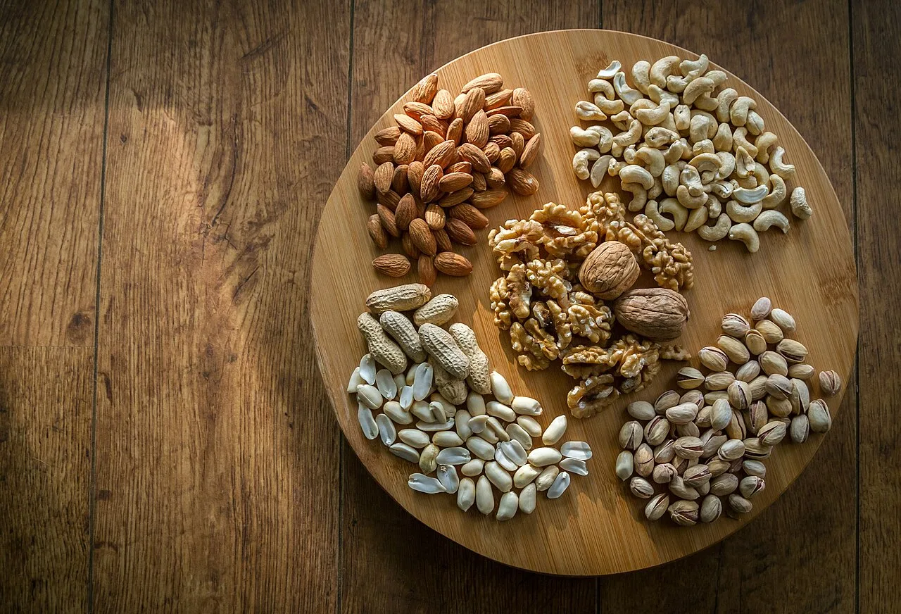 Gorduras boas: onde encontrar e por que incluir na alimentação