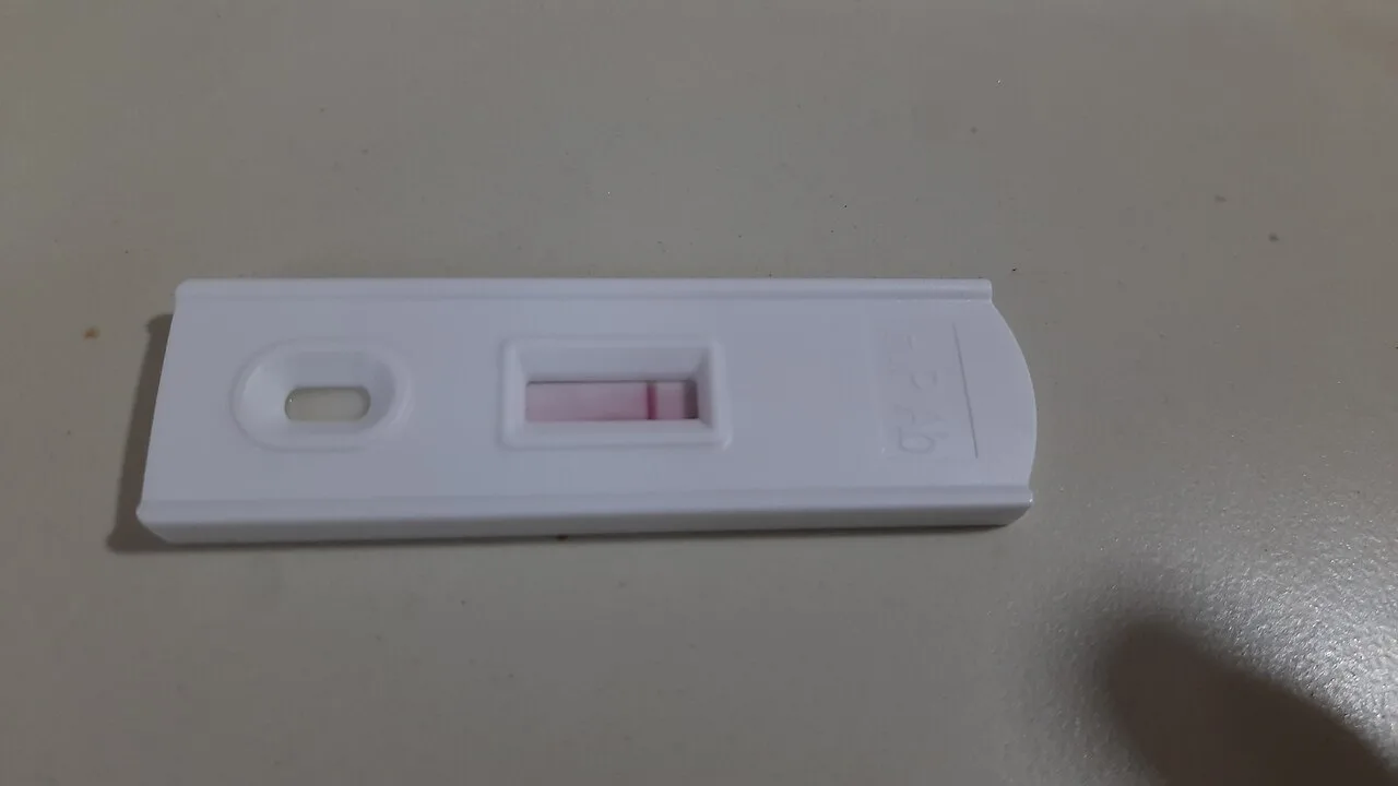 H. pylori: como a bactéria é transmitida, quais os riscos e quando procurar o médico