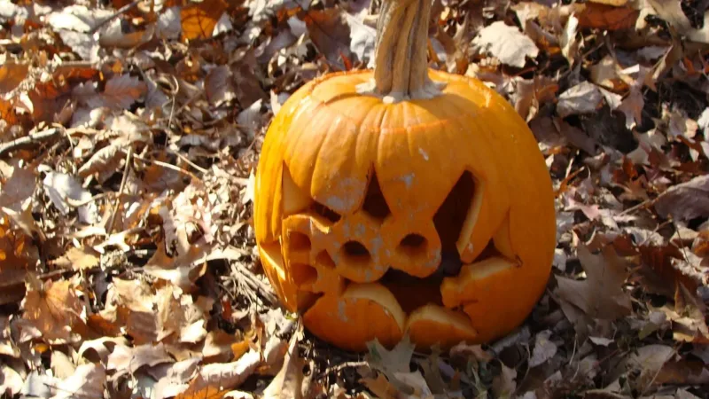 Halloween sem excessos: dicas para as crianças curtirem a festa com menos doces