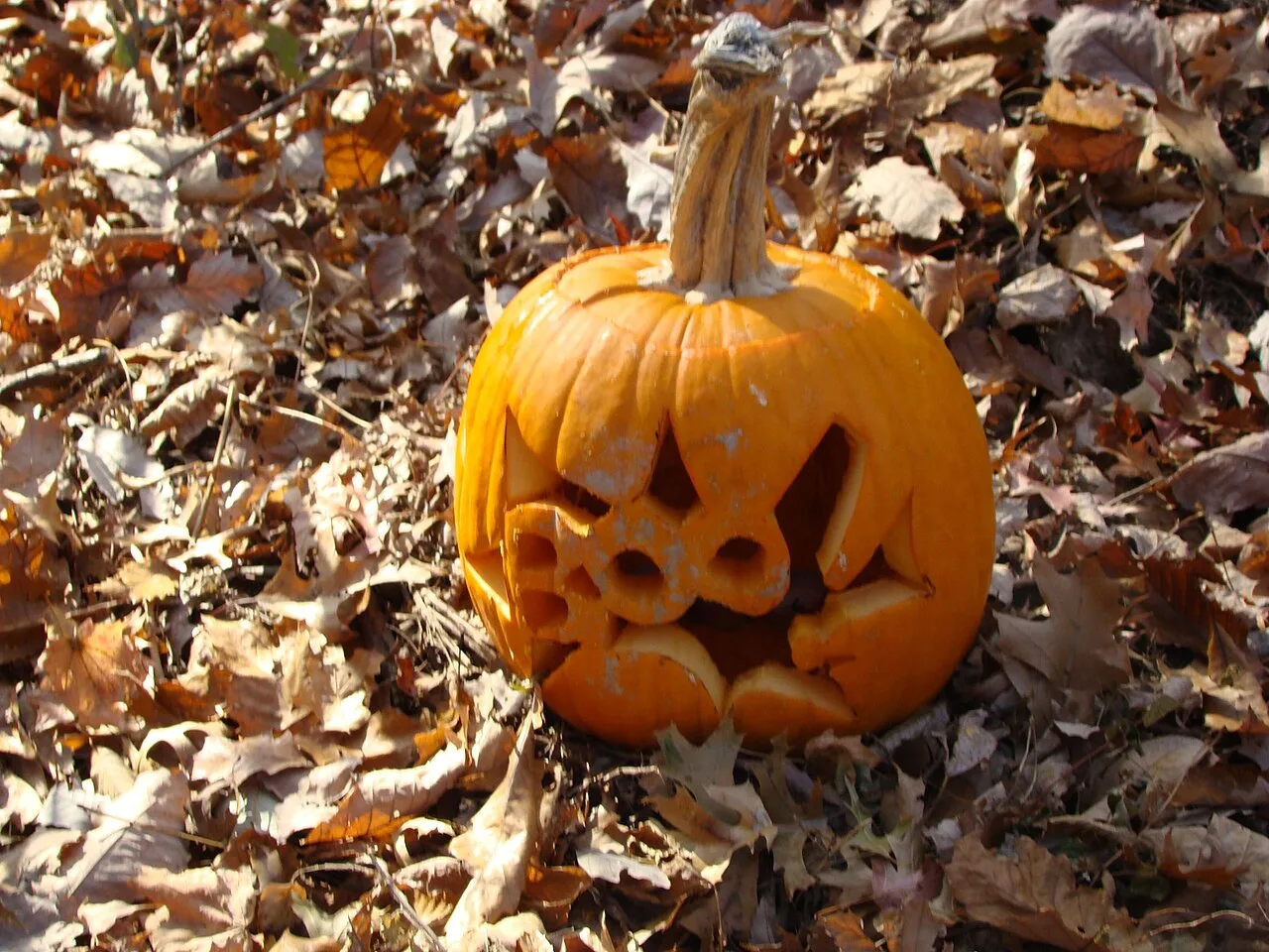 Halloween sem excessos: dicas para as crianças curtirem a festa com menos doces