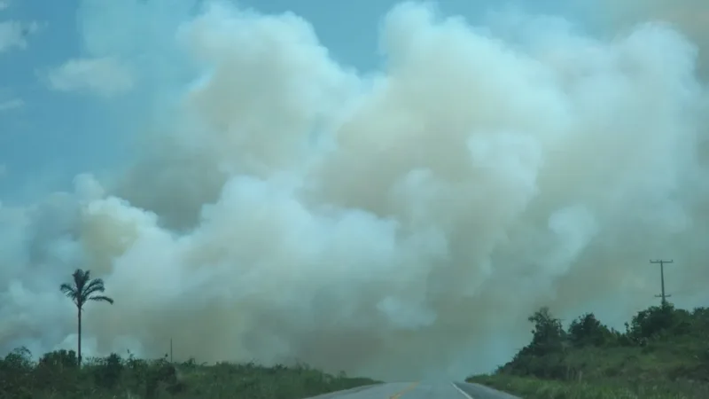Incêndios e ar seco no DF: o que a fumaça faz com a respiração e como se proteger