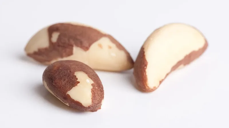 Iodo, ferro, selênio e vitamina D: nutrientes que merecem atenção na tireoidite de Hashimoto