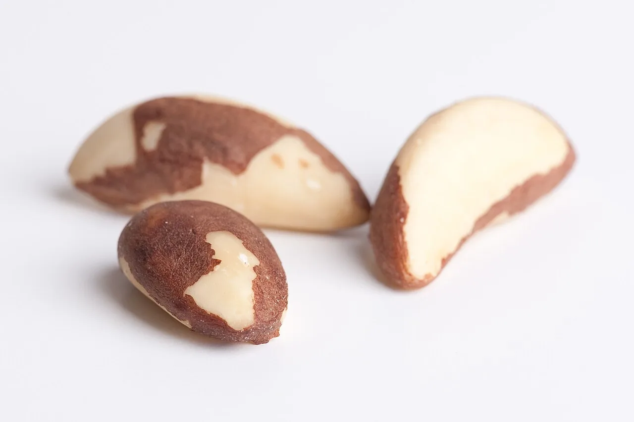 Iodo, ferro, selênio e vitamina D: nutrientes que merecem atenção na tireoidite de Hashimoto