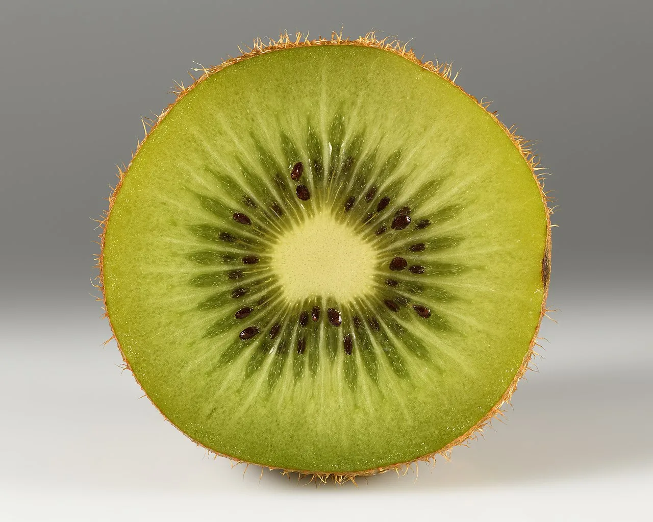 Kiwi e psyllium juntos: dupla ganha destaque em diretriz para o intestino preso