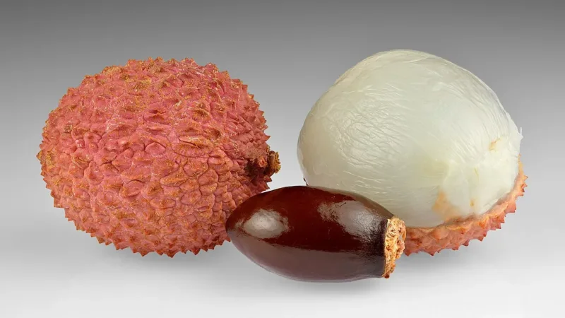 Lichia: fruta típica do verão reúne vitamina C, antioxidantes e muita água