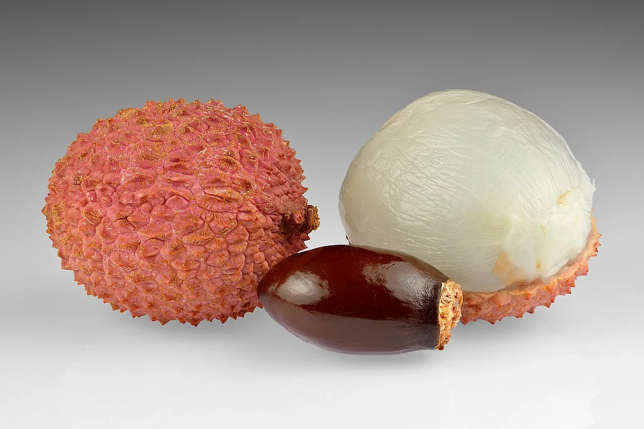 Lichia: fruta típica do verão reúne vitamina C, antioxidantes e muita água