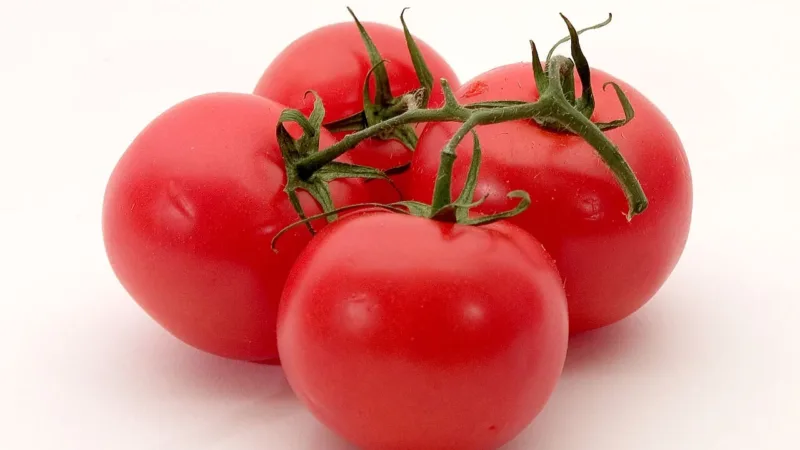 Licopeno: pigmento do tomate é associado a benefícios para a saúde masculina
