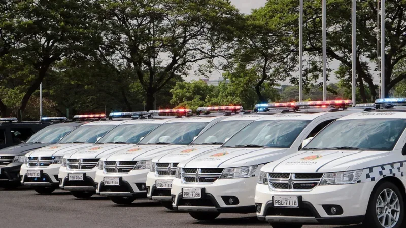 Mãe de recém-nascido encontrado carbonizado no Recanto das Emas é localizada pela PM