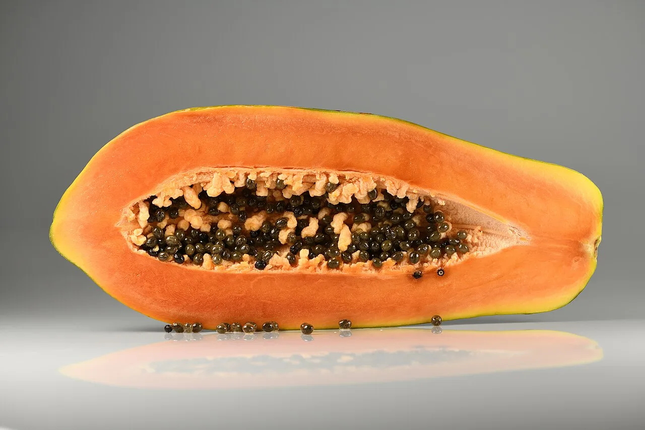 Mamão: por que a fruta tropical faz bem da digestão à imunidade