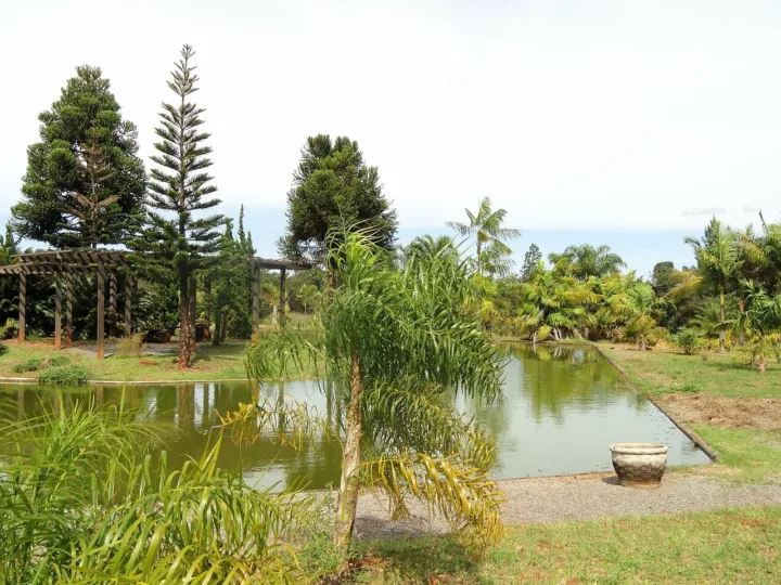 Me Leva Cerrado organiza passeios afroturísticos, gastronômicos e de ecoturismo por Brasília