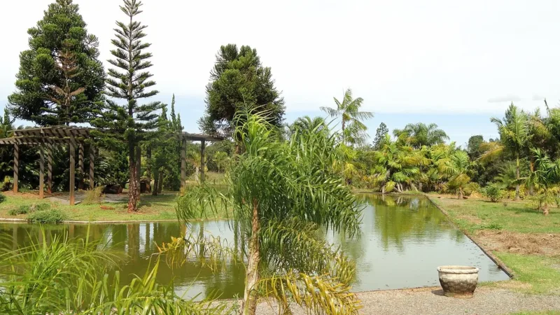 Me Leva Cerrado organiza passeios afroturísticos, gastronômicos e de ecoturismo por Brasília