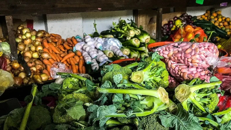 Menopausa: os alimentos que podem amenizar fogachos e outros sintomas
