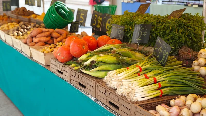 Menos ultraprocessados no prato sem aumentar a conta do mercado