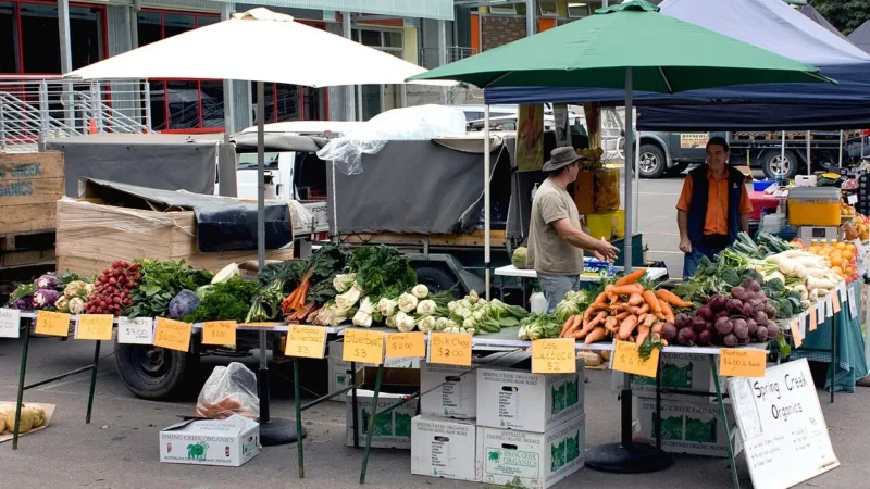 Mercado de alimentação saudável cresce no Brasil e pode chegar a US$ 859 bilhões no mundo