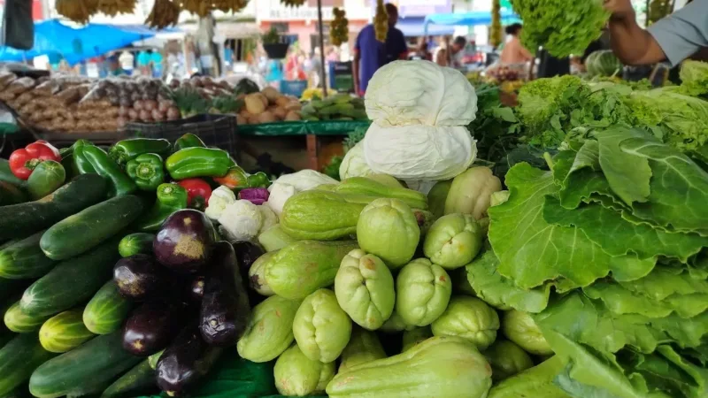 Ministério da Saúde alerta: desinformação sobre alimentação pode fazer mal à saúde