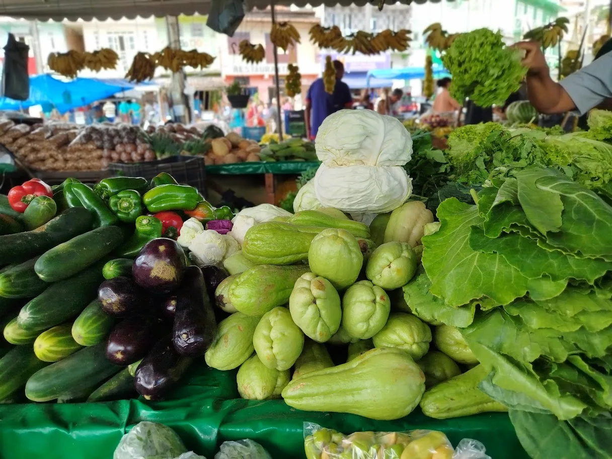 Ministério da Saúde alerta: desinformação sobre alimentação pode fazer mal à saúde