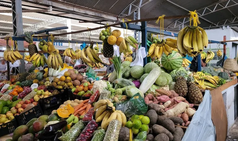 Ministério da Saúde repassa mais de R$ 25 milhões para ações de nutrição em 1.140 municípios