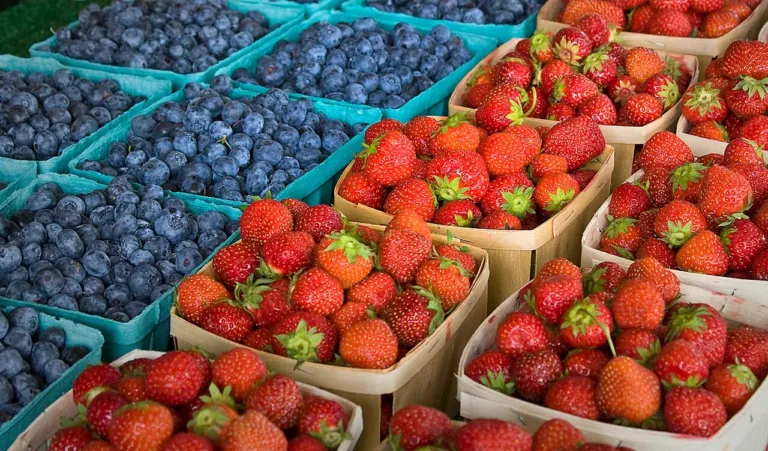 Morango, mirtilo e amora: como as frutas vermelhas podem favorecer a saúde emocional