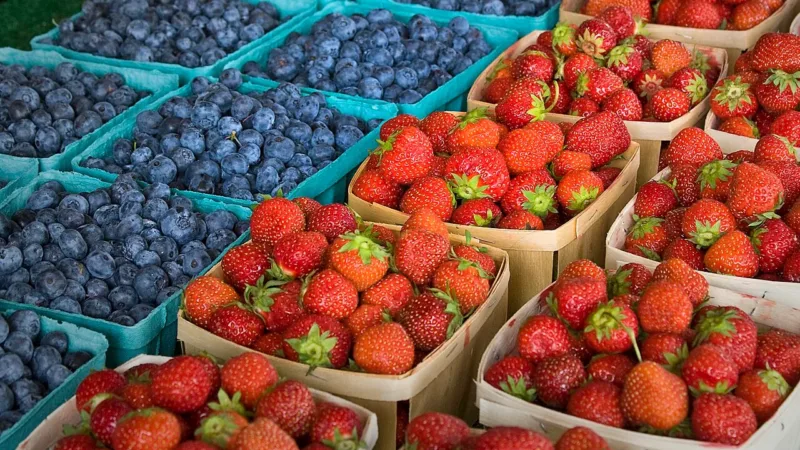 Morango, mirtilo e amora: como as frutas vermelhas podem favorecer a saúde emocional
