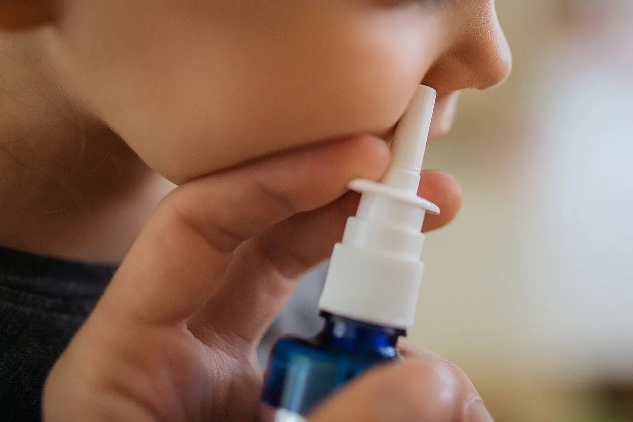 Nanopartículas de prata feitas por fungo barram Covid em hamsters e podem virar spray nasal