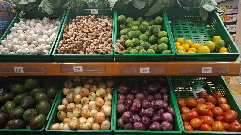 O que são FODMAPs e por que eles podem causar desconforto intestinal