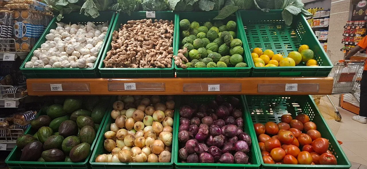 O que são FODMAPs e por que eles podem causar desconforto intestinal