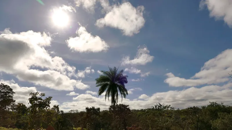 Parque Olhos D’Água: Lagoa do Sapo, pista de 2,1 km e aulas de yoga e tai chi com entrada gratuita