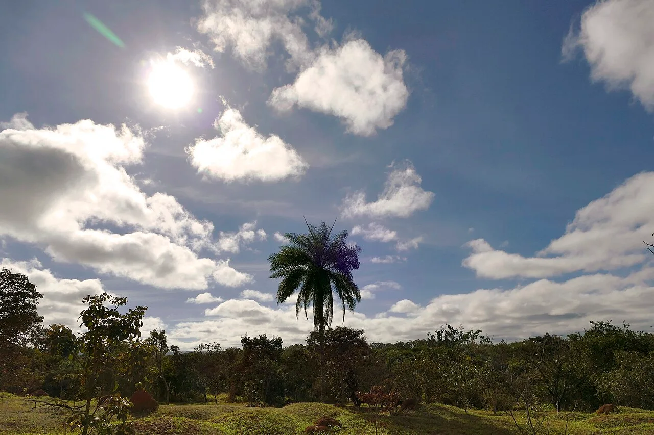 Parque Olhos D’Água: Lagoa do Sapo, pista de 2,1 km e aulas de yoga e tai chi com entrada gratuita