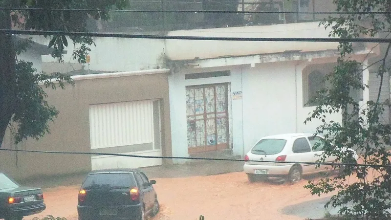 Período chuvoso acende alerta para leptospirose no DF; saiba reconhecer os sintomas