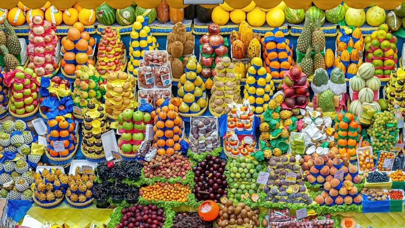 Pesquisa Enani 2024 visita 600 famílias do DF para medir nutrição de crianças após a pandemia