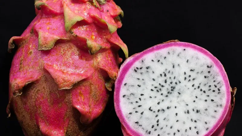 Pitaya conquista feiras e mercados: nutrientes, benefícios estudados e receita de suco