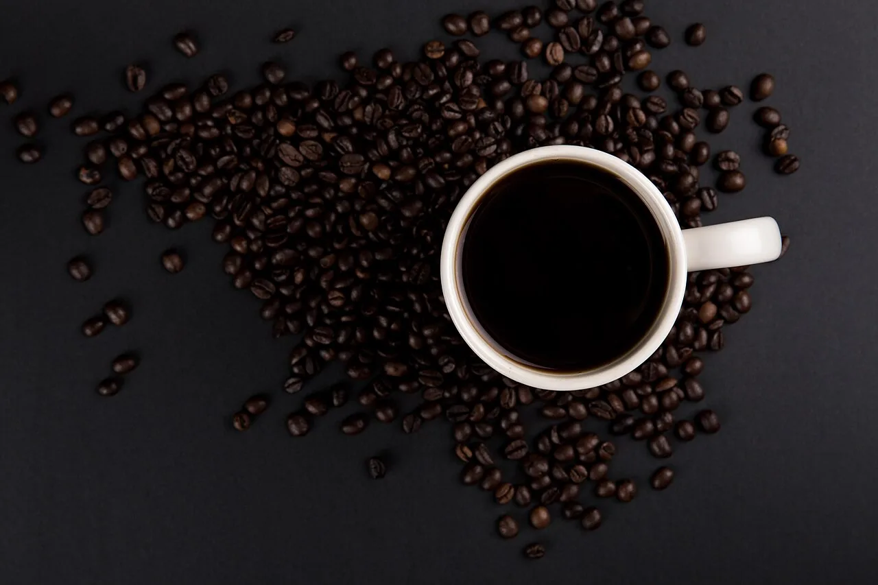 Polifenóis do café, da uva e de outros vegetais interagem com a microbiota, indica revisão brasileira