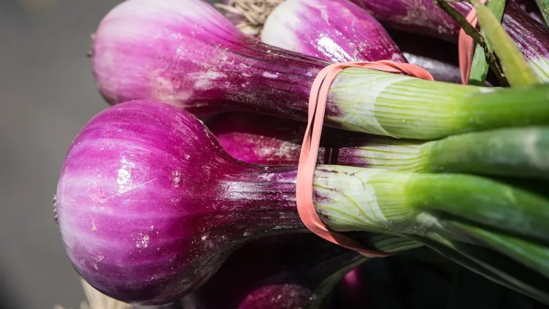Prato colorido: entenda a função de carboidratos, proteínas, vitaminas e minerais