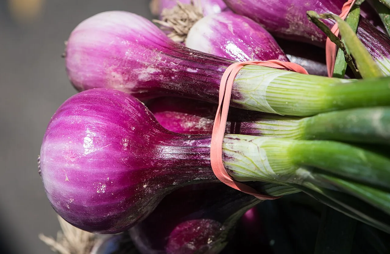Prato colorido: entenda a função de carboidratos, proteínas, vitaminas e minerais