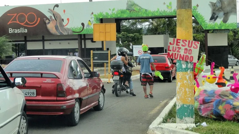 Quem se vacinar no Zoológico de Brasília durante o feriado entra de graça