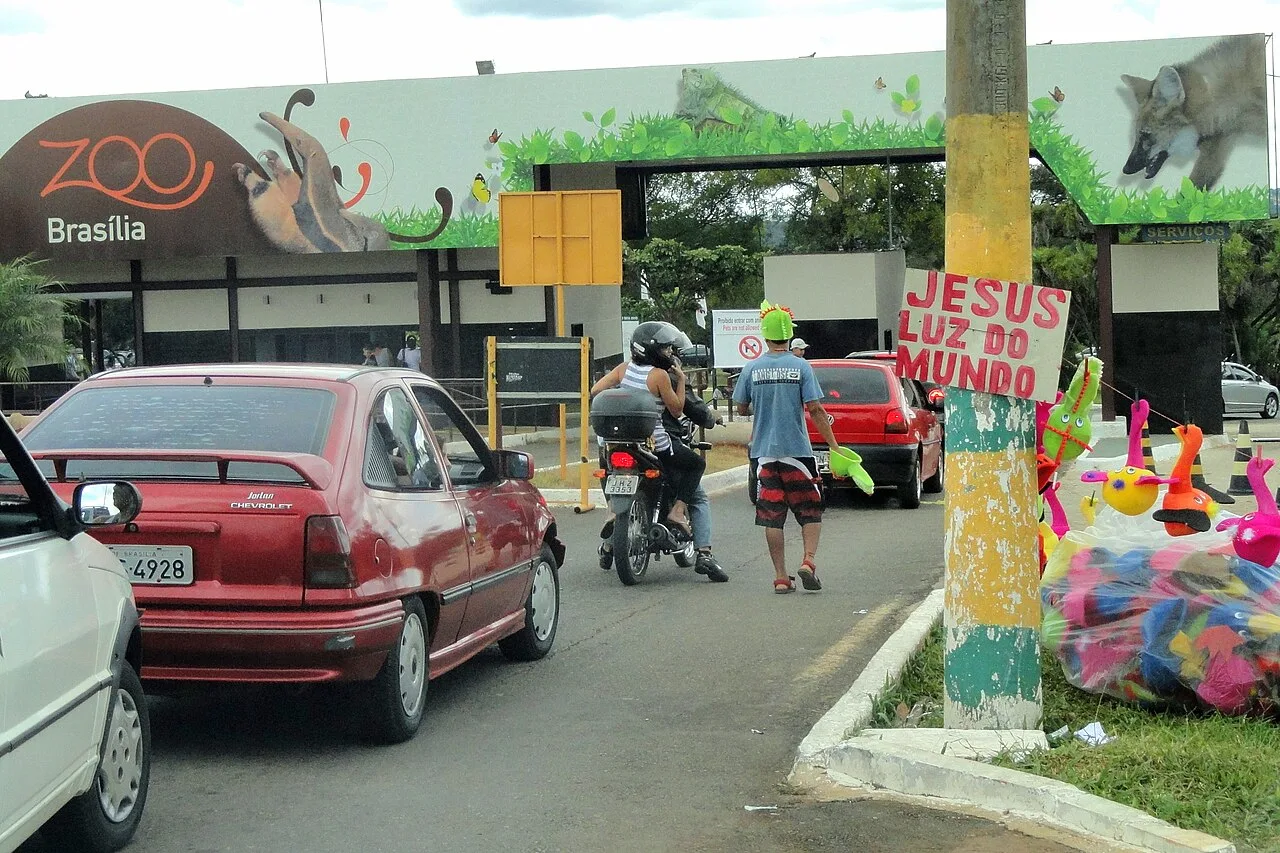 Quem se vacinar no Zoológico de Brasília durante o feriado entra de graça