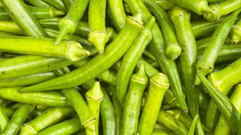 Quiabo e açúcar no sangue: o que as fibras e a baba do legume têm a ver com a glicemia