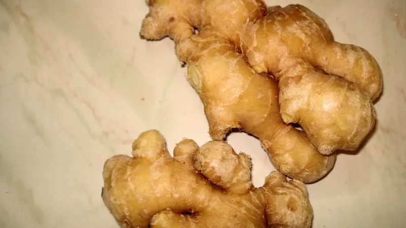 Receita caseira: infusão de vinagre de maçã com gengibre e hortelã contra a azia