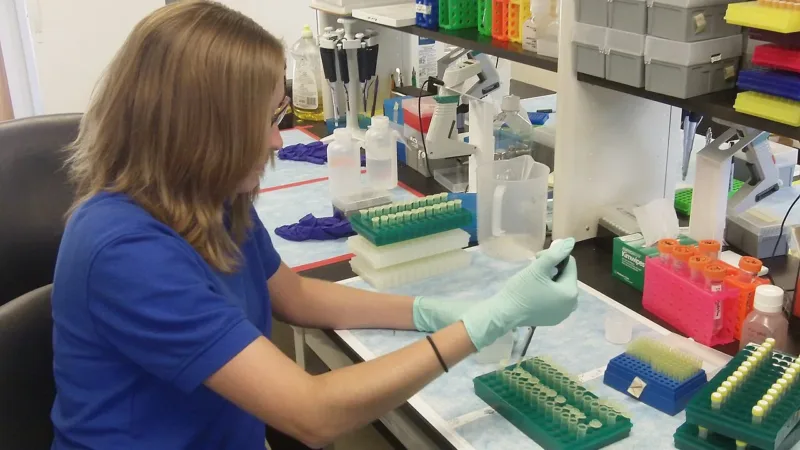 Rede pública do DF adota teste de DNA-HPV para rastrear câncer de colo do útero