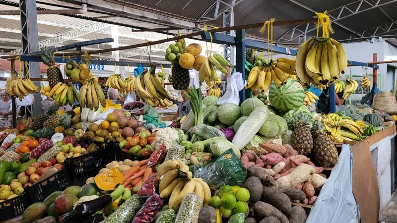 Safra de outubro e novembro no DF: frutas, legumes e verduras para comprar agora