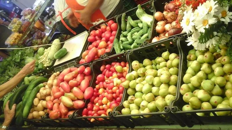 Selo, certificação e horta em casa: guia para reconhecer alimentos orgânicos