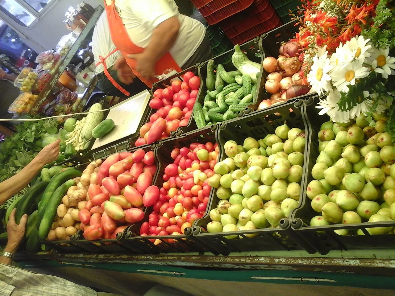 Selo, certificação e horta em casa: guia para reconhecer alimentos orgânicos