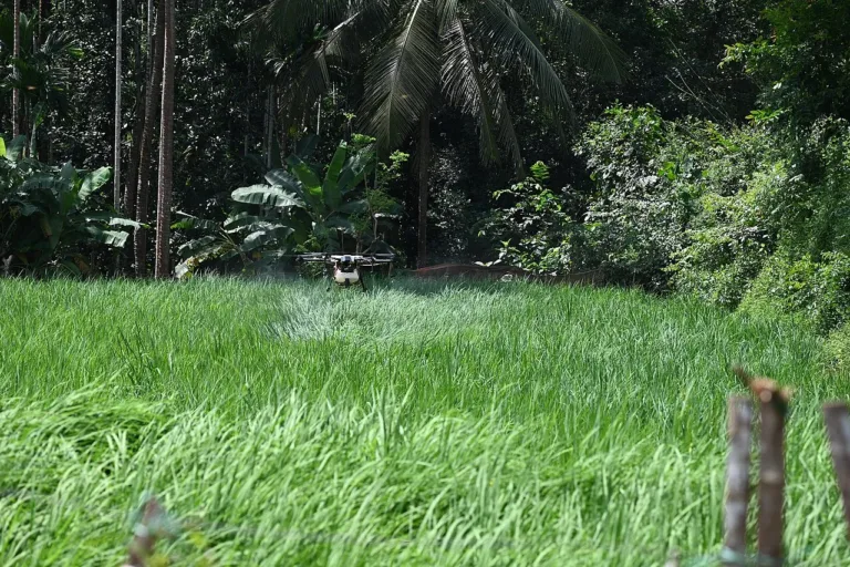SES-DF vai usar drones para localizar e tratar criadouros do Aedes aegypti