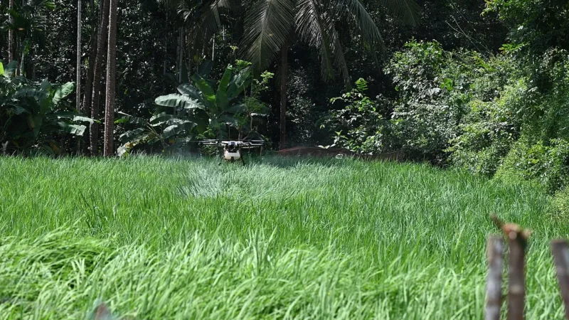 SES-DF vai usar drones para localizar e tratar criadouros do Aedes aegypti
